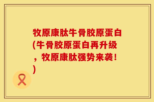 牧原康肽牛骨胶原蛋白(牛骨胶原蛋白再升级，牧原康肽强势来袭！)