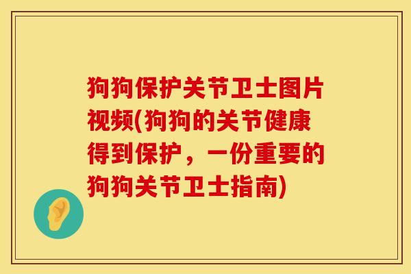狗狗保护关节卫士图片视频(狗狗的关节健康得到保护，一份重要的狗狗关节卫士指南)
