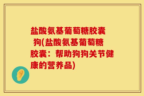 盐酸氨基葡萄糖胶囊  狗(盐酸氨基葡萄糖胶囊：帮助狗狗关节健康的营养品)
