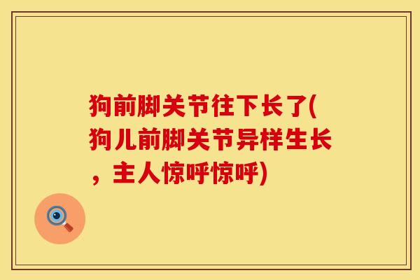 狗前脚关节往下长了(狗儿前脚关节异样生长，主人惊呼惊呼)