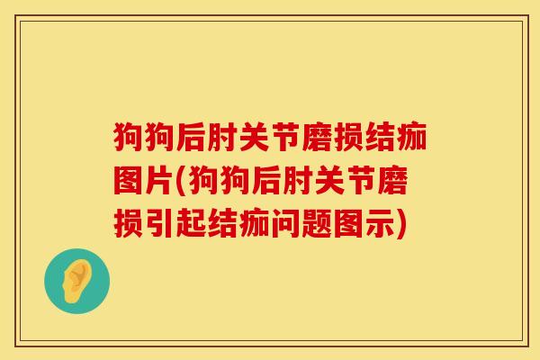 狗狗后肘关节磨损结痂图片(狗狗后肘关节磨损引起结痂问题图示)