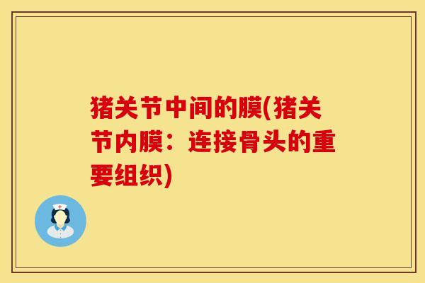 猪关节中间的膜(猪关节内膜：连接骨头的重要组织)