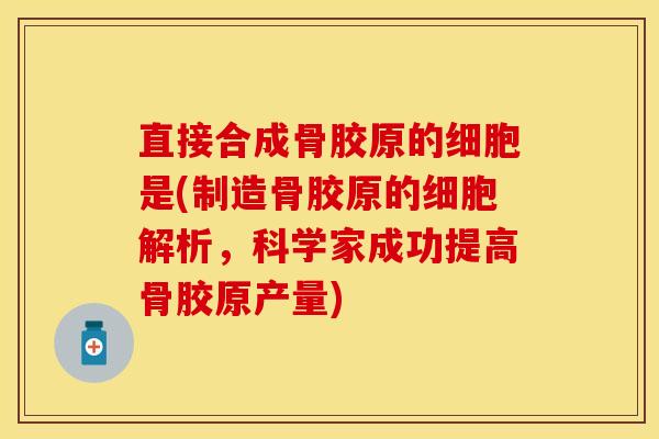 直接合成骨胶原的细胞是(制造骨胶原的细胞解析，科学家成功提高骨胶原产量)