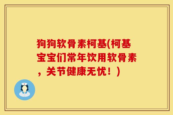 狗狗软骨素柯基(柯基宝宝们常年饮用软骨素，关节健康无忧！)
