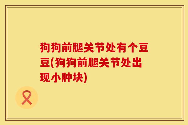 狗狗前腿关节处有个豆豆(狗狗前腿关节处出现小肿块)