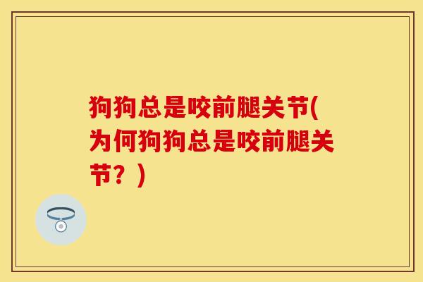 狗狗总是咬前腿关节(为何狗狗总是咬前腿关节？)