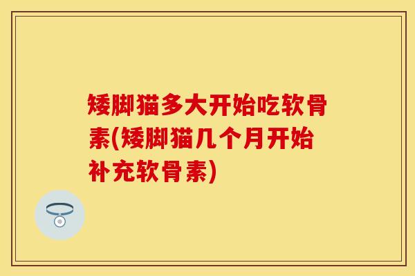 矮脚猫多大开始吃软骨素(矮脚猫几个月开始补充软骨素)