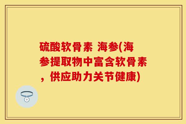 硫酸软骨素 海参(海参提取物中富含软骨素，供应助力关节健康)