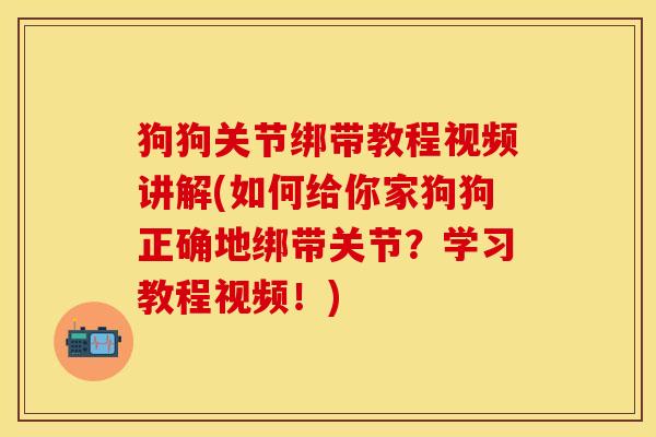 狗狗关节绑带教程视频讲解(如何给你家狗狗正确地绑带关节？学习教程视频！)