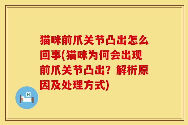 猫咪前爪关节凸出怎么回事(猫咪为何会出现前爪关节凸出？解析原因及处理方式)