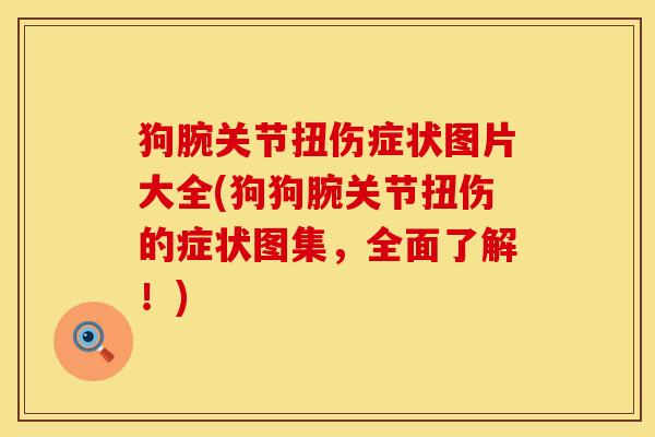狗腕关节扭伤症状图片大全(狗狗腕关节扭伤的症状图集，全面了解！)