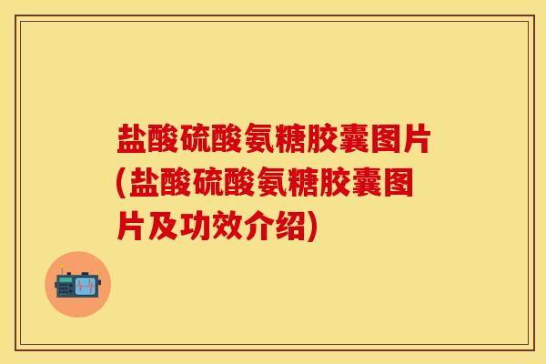 盐酸硫酸氨糖胶囊图片(盐酸硫酸氨糖胶囊图片及功效介绍)