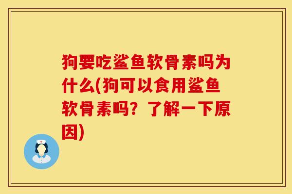 狗要吃鲨鱼软骨素吗为什么(狗可以食用鲨鱼软骨素吗？了解一下原因)