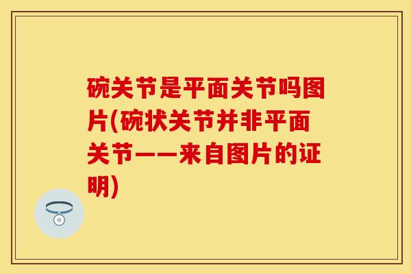 碗关节是平面关节吗图片(碗状关节并非平面关节——来自图片的证明)