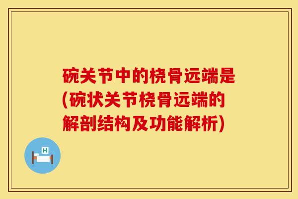 碗关节中的桡骨远端是(碗状关节桡骨远端的解剖结构及功能解析)