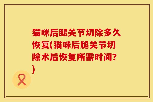 猫咪后腿关节切除多久恢复(猫咪后腿关节切除术后恢复所需时间？)