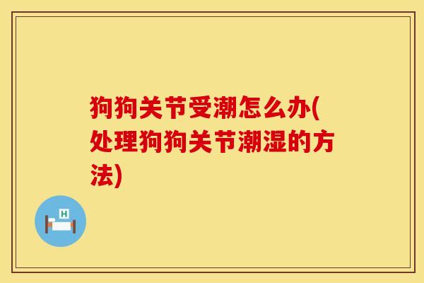 狗狗关节受潮怎么办(处理狗狗关节潮湿的方法)