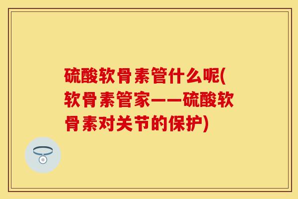 硫酸软骨素管什么呢(软骨素管家——硫酸软骨素对关节的保护)