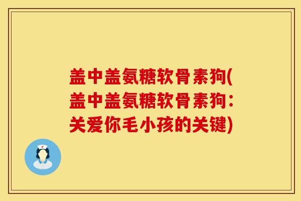 盖中盖氨糖软骨素狗(盖中盖氨糖软骨素狗：关爱你毛小孩的关键)