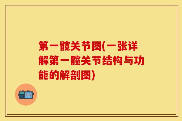 第一髋关节图(一张详解第一髋关节结构与功能的解剖图)