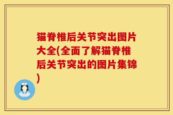猫脊椎后关节突出图片大全(全面了解猫脊椎后关节突出的图片集锦)
