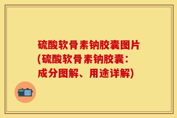 硫酸软骨素钠胶囊图片(硫酸软骨素钠胶囊：成分图解、用途详解)