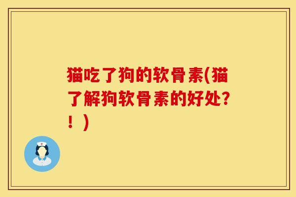 猫吃了狗的软骨素(猫了解狗软骨素的好处？！)