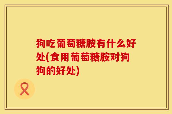 狗吃葡萄糖胺有什么好处(食用葡萄糖胺对狗狗的好处)