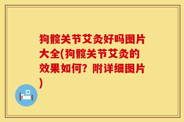 狗髋关节艾灸好吗图片大全(狗髋关节艾灸的效果如何？附详细图片)