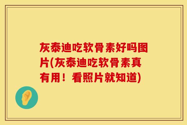 灰泰迪吃软骨素好吗图片(灰泰迪吃软骨素真有用！看照片就知道)