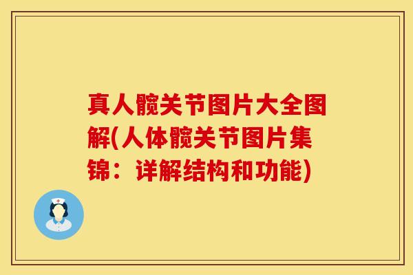 真人髋关节图片大全图解(人体髋关节图片集锦：详解结构和功能)