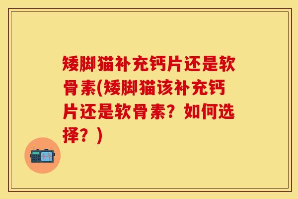 矮脚猫补充钙片还是软骨素(矮脚猫该补充钙片还是软骨素？如何选择？)