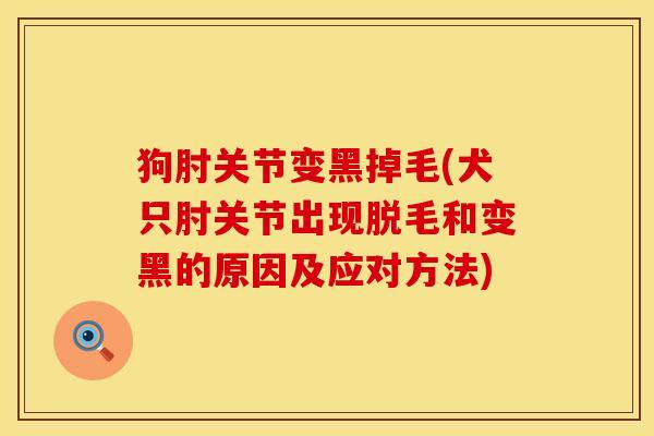 狗肘关节变黑掉毛(犬只肘关节出现脱毛和变黑的原因及应对方法)