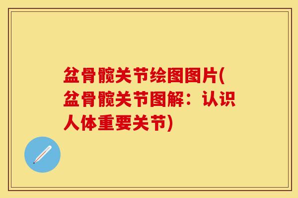 盆骨髋关节绘图图片(盆骨髋关节图解：认识人体重要关节)