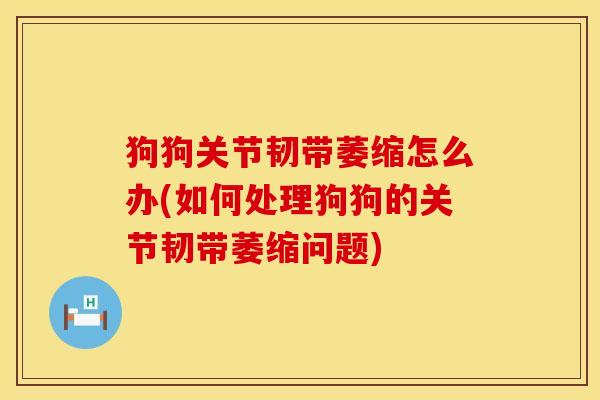 狗狗关节韧带萎缩怎么办(如何处理狗狗的关节韧带萎缩问题)