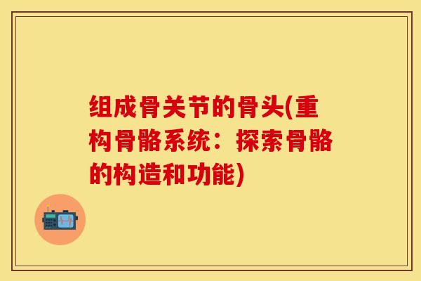 组成骨关节的骨头(重构骨骼系统：探索骨骼的构造和功能)