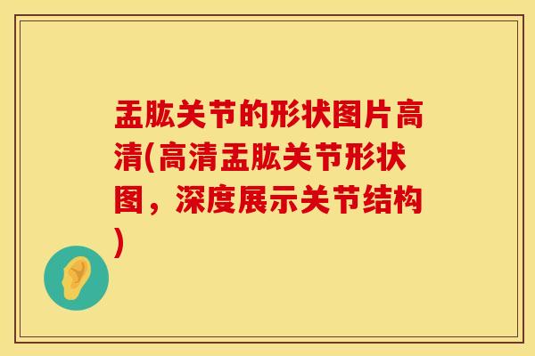 盂肱关节的形状图片高清(高清盂肱关节形状图，深度展示关节结构)