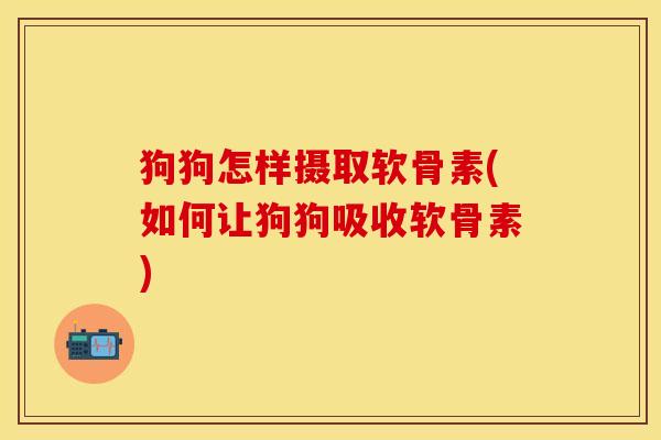 狗狗怎样摄取软骨素(如何让狗狗吸收软骨素)