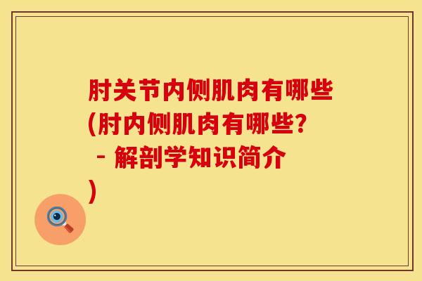 肘关节内侧肌肉有哪些(肘内侧肌肉有哪些？ - 解剖学知识简介)