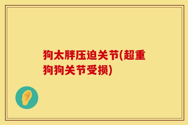 狗太胖压迫关节(超重狗狗关节受损)