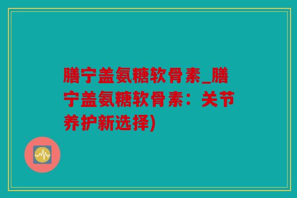 膳宁盖氨糖软骨素_膳宁盖氨糖软骨素：关节养护新选择)