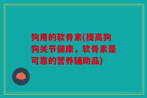 狗用的软骨素(提高狗狗关节健康，软骨素是可靠的营养辅助品)