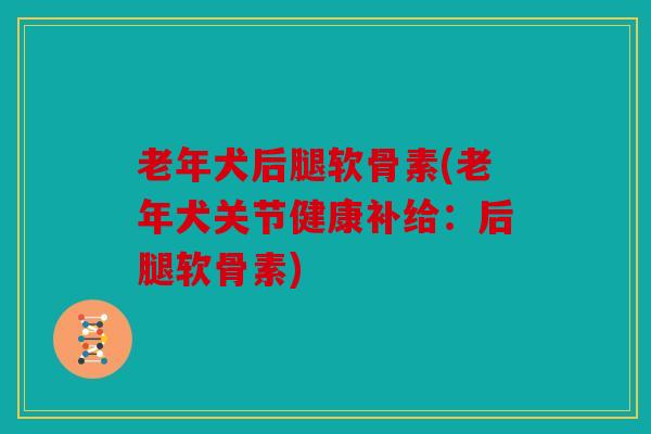 老年犬后腿软骨素(老年犬关节健康补给：后腿软骨素)