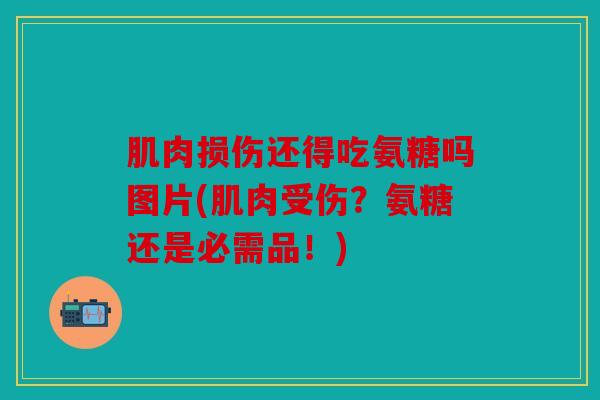 肌肉损伤还得吃氨糖吗图片(肌肉受伤？氨糖还是必需品！)