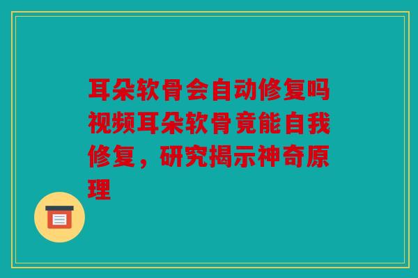 耳朵软骨会自动修复吗视频耳朵软骨竟能自我修复，研究揭示神奇原理