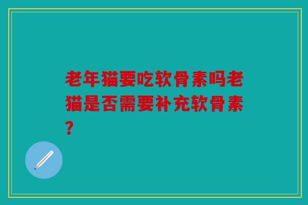 老年猫要吃软骨素吗老猫是否需要补充软骨素？