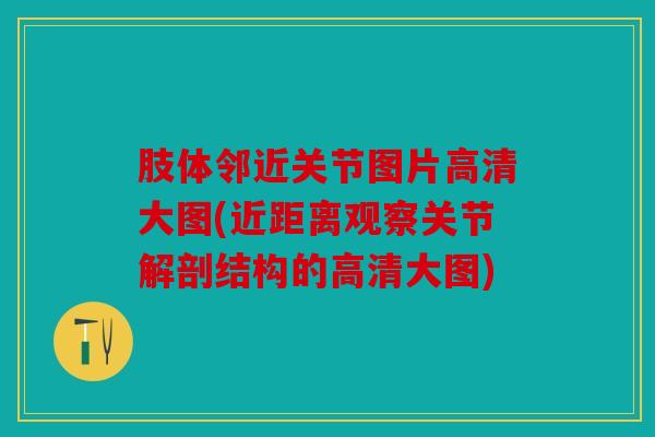 肢体邻近关节图片高清大图(近距离观察关节解剖结构的高清大图) 肢体邻近关节图片高清大图(近距离观察关节解剖结构的高清大图)