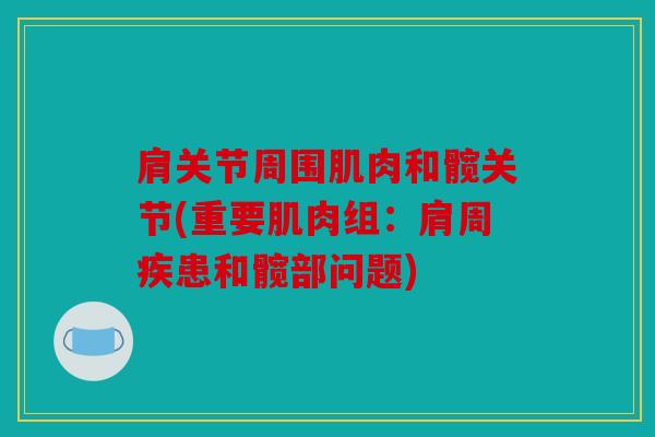 肩关节周围肌肉和髋关节(重要肌肉组：肩周疾患和髋部问题)