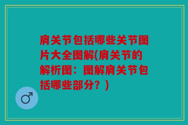 肩关节包括哪些关节图片大全图解(肩关节的解析图：图解肩关节包括哪些部分？)
