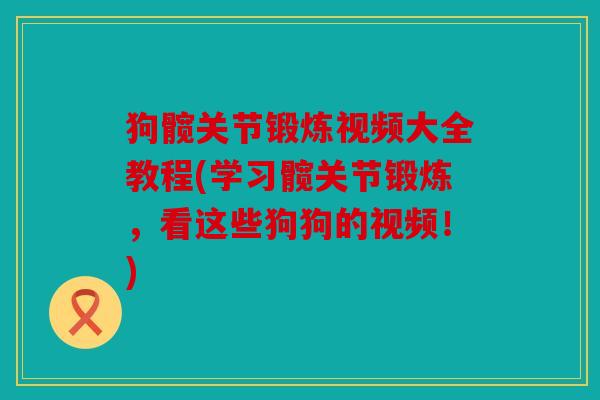 狗髋关节锻炼视频大全教程(学习髋关节锻炼，看这些狗狗的视频！)